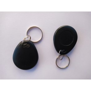 Rfid M1k 4-byte (NUID) Tag